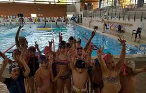 Stage MIX natation/basket