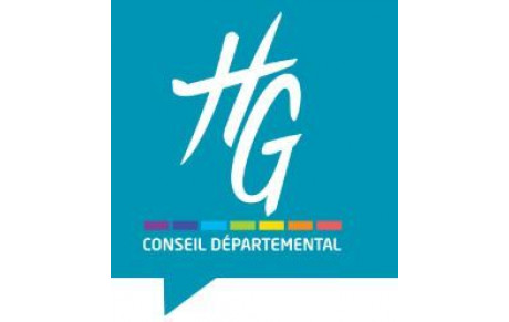 CONSEIL DEPARTEMENTAL 31